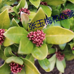 张(張)玉梅(梅)和(和)公爹