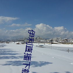 伊利直播下载