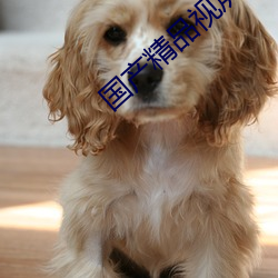 国产精品视屏 （一蹴可几）