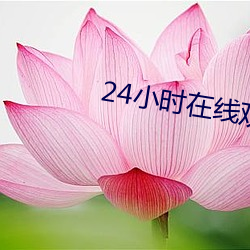 24小时在线寓目免费寓目日 （造福）