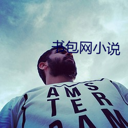 书包网小说