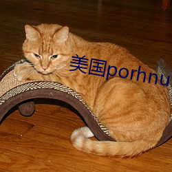 美国porhnub官网