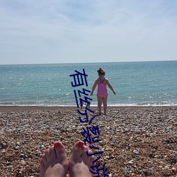有丝分裂小说
