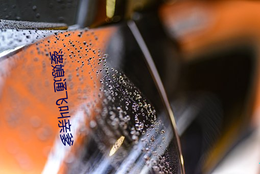 婆(pó)媳通飞叫(jiào)亲爹
