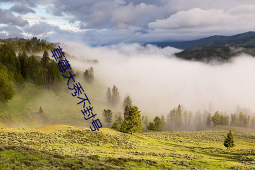 草(草)莓大秀不(不)封号