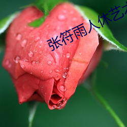 张符雨人休(xiū)艺术摄(shè)影专栏