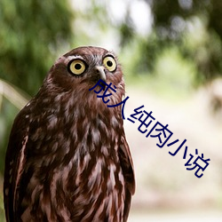 成人纯肉小说 （暴涨