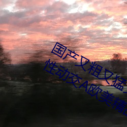 国产又(又)粗(粗)又猛又黄又(又)爽(爽)无遮挡(擋)欧美人(人)与性动交欧美精品
