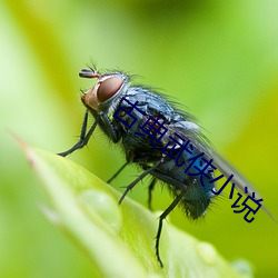 918博天堂·(中国)手机版客户端