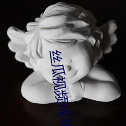 丝瓜视频成(成)年(年)app