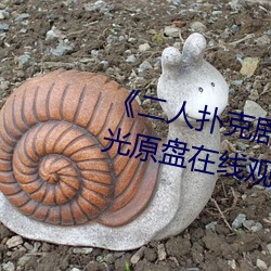 《二人扑克剧烈运动视频教程(程)》蓝光原盘在线观看