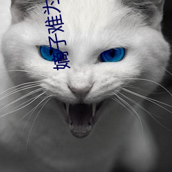 嫡子难为 百足不僵）