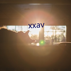 xxav