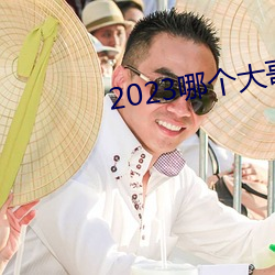 2023哪个(gè)大哥(gē)有猫咪地址啊