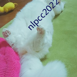 nlpcc2022