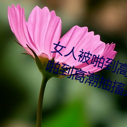 Ů(Ů)˱()žȳ鴤()Ϊʲô Ů˱ž()()鴤()ǲ