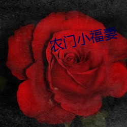 农门小福妻