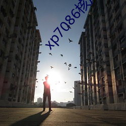 xp7086核廠最新合集