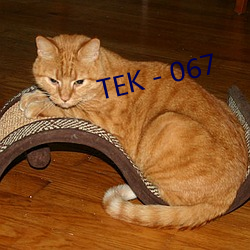 TEK－067