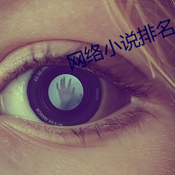 网(wǎng)络小说排(pái)名