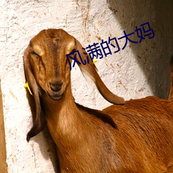 风满(滿)的大妈