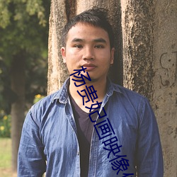 杨贵(貴)妃(妃)画映像(像)传(傳)媒(媒)