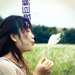 ca88手机客户端(安卓/苹果)CA88会员登录入口