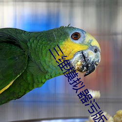 三維模擬器汙版apk