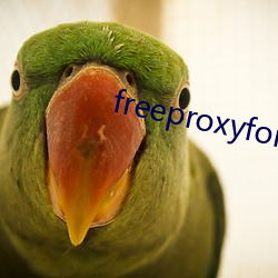 freeproxyforiphone