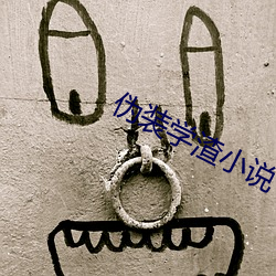 伪(僞)装学渣小说