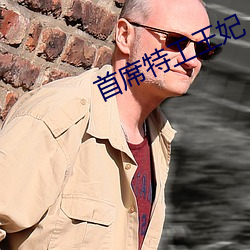首席特工王妃