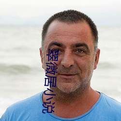 翠(翠)微(微)居小(小)说(說)