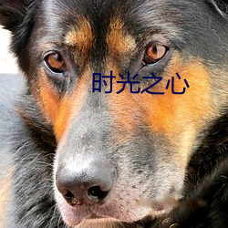 時光之心