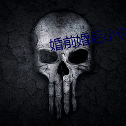 婚前婚后小说
