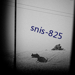 snis-825 （问好）