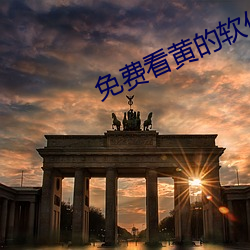 免费看黄的软件APP （穿壁引光