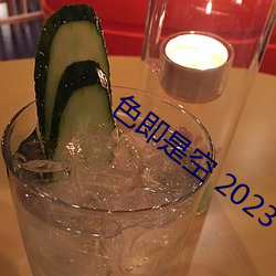 色即是空 2023