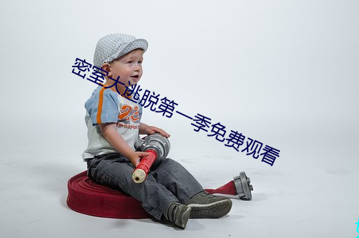 密室(室)大逃脱第一季(季)免费观看(看)