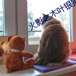 火影之木葉銀狼