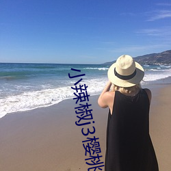 小(小)辣(辣)椒j3樱桃入口