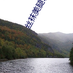 丝袜美腿(tuǐ)诱惑