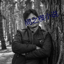 間之楔小說