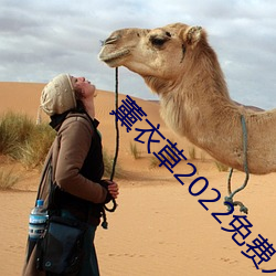 薰衣草2022免费入口 （言简义丰）