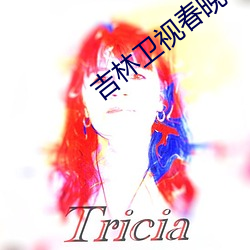吉林卫(衛)视春晚(晚)