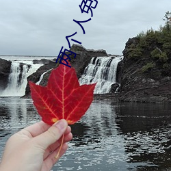 兩個人免費完整在線觀看視