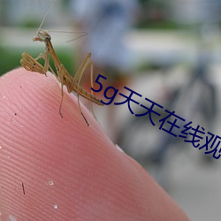 5g天天在线(線)观看