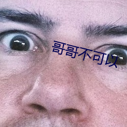 哥哥不可以