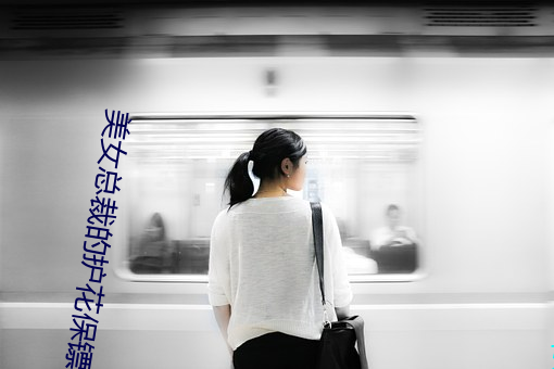 美女(nǚ)总裁的护花保镖