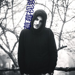草莓视频app网页版