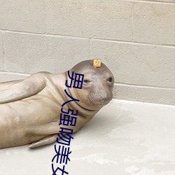 米乐M6·(中国)官方网站